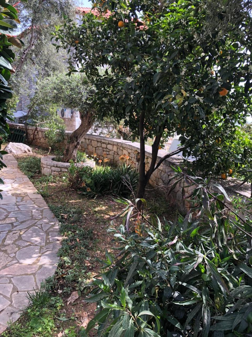 Villa Amanda Neokhorion  Ngoại thất bức ảnh